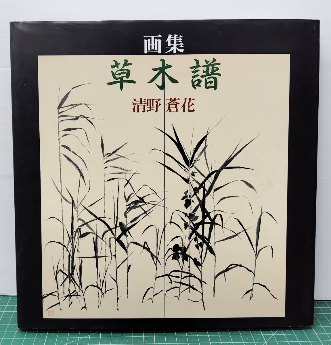 函付 画集 清野蒼花 『草木譜』 限定650部 1995年発行 美術の図書 三好企画 作品集●H5312拍卖