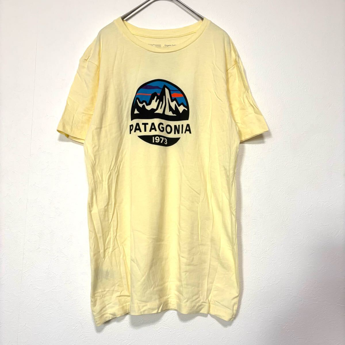 【希少】Patagonia パタゴニア 半袖Tシャツ メンズ XS 1973ロゴ プリント イエロー USA製 美品 M ロゴ トップス STY39154 人気 完売品 夏 拍卖