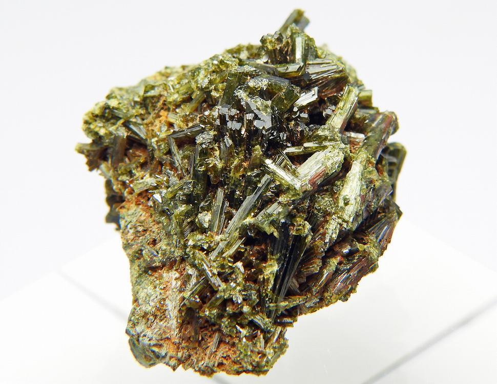 ☆☆ エピドート <スペイン> 39 ☆☆拍卖