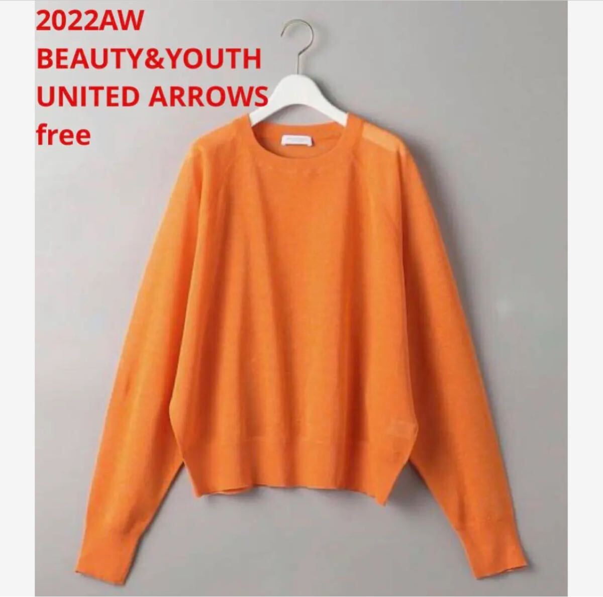 ほぼ新品*BEAUTY&YOUTH UNITED ARROWS シアーニットor拍卖