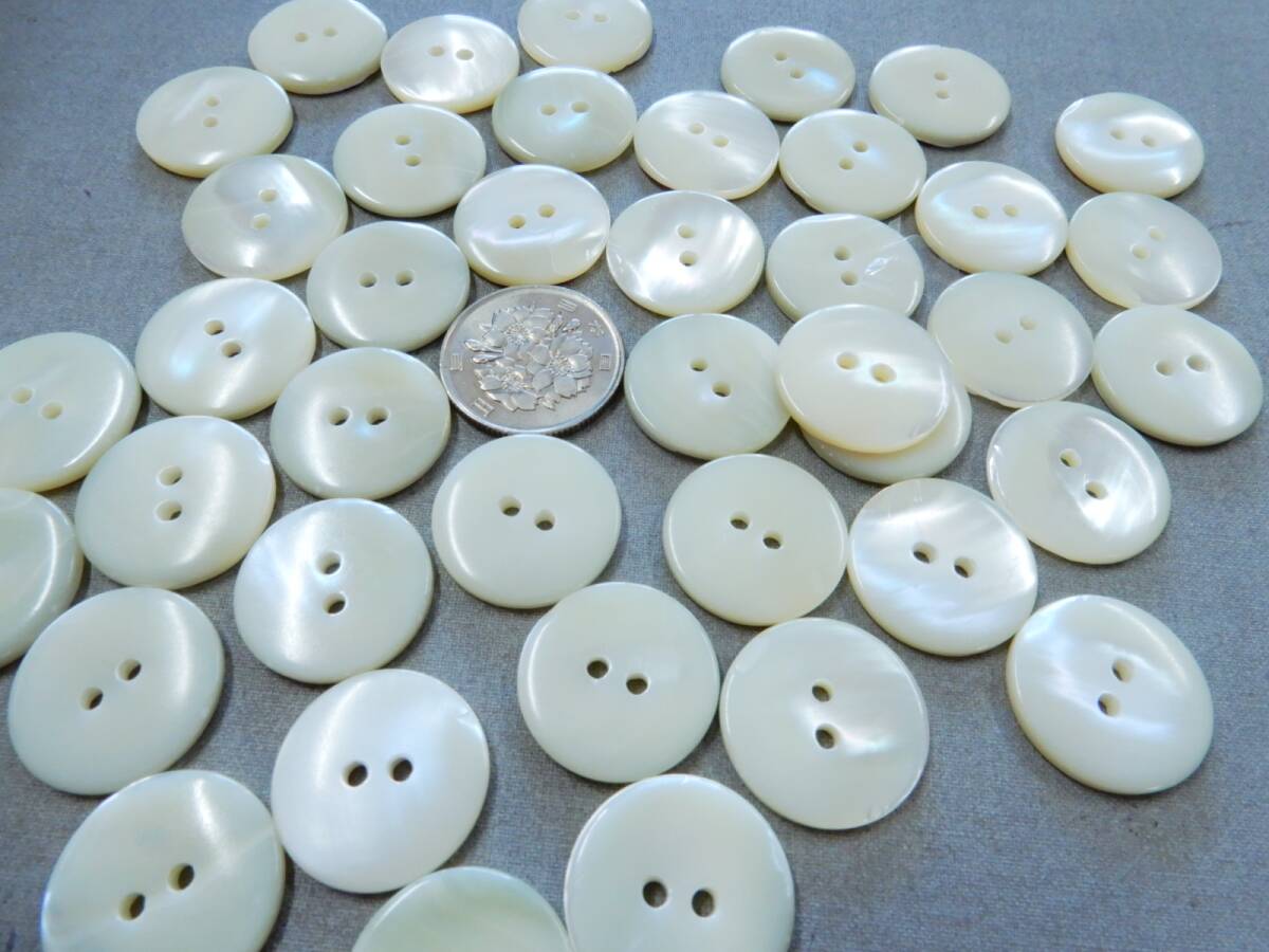 <銀の斧>天然貝釦・貝ボタン・40ヶまとめて・直径20mm・丸型・白拍卖