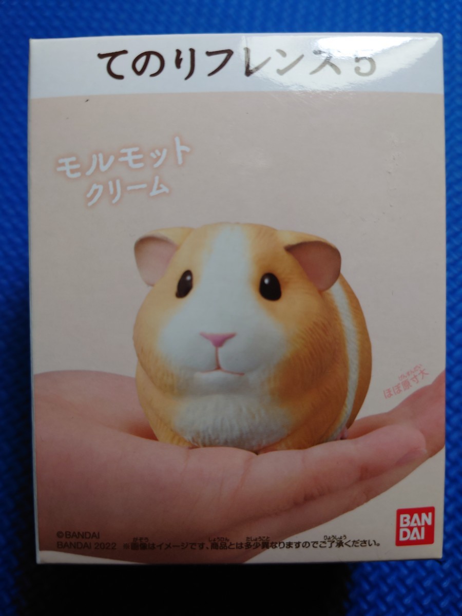 匿名配送★送料無料【 モルモット】 8:クリーム★てのりフレンズ5 ★未使用新品★バンダイ★検索:11R234全125671415161718192013拍卖
