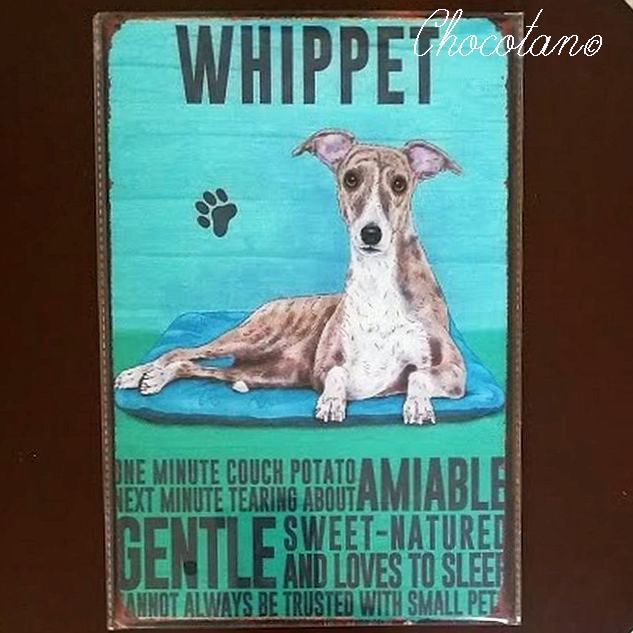 【送料無料】ウィペット 犬種 メタルサインプレート【新品】拍卖