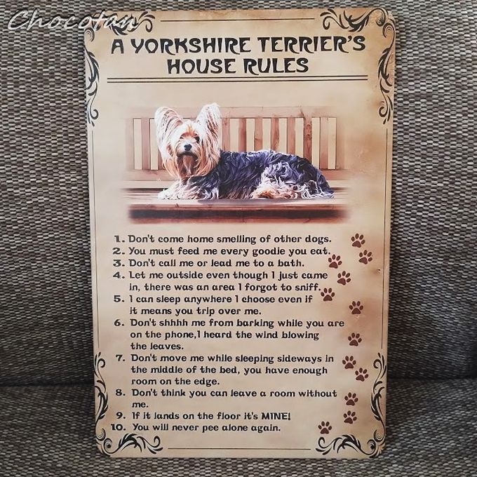 【送料無料】ダックスフンド ⑭ トイレ新聞 メタルサインプレート【新品】拍卖