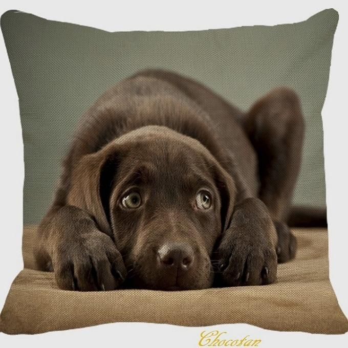 【送料無料】ラブラドール C6 チョコラブ パピー クッションカバー【新品】拍卖