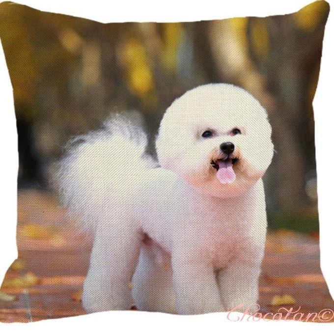 【送料無料】ビションフリーゼ ③ クッションカバー【新品】拍卖