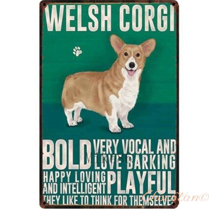 【送料無料】ウェルシュ コーギー ① 犬種 メタルサインプレート メタル看板【新品】拍卖