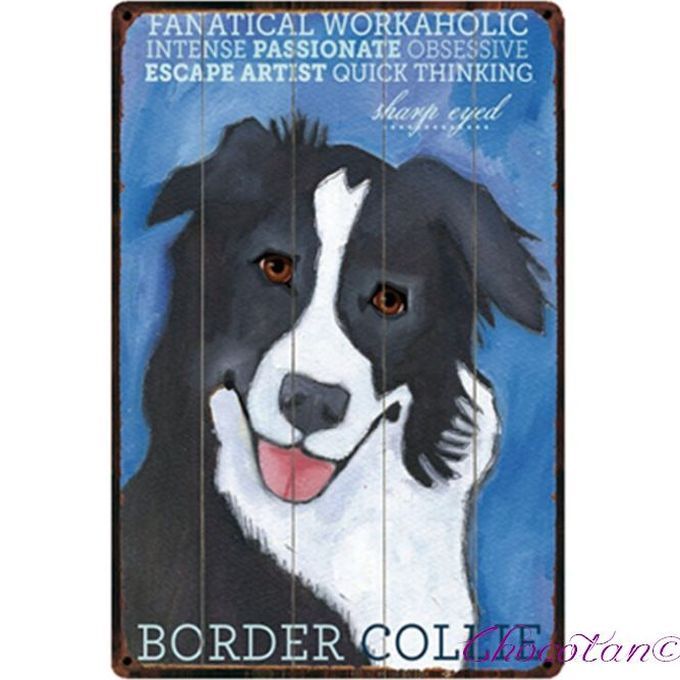 【送料無料】ボーダーコリー ⑤ メタルサインプレート 【新品】拍卖