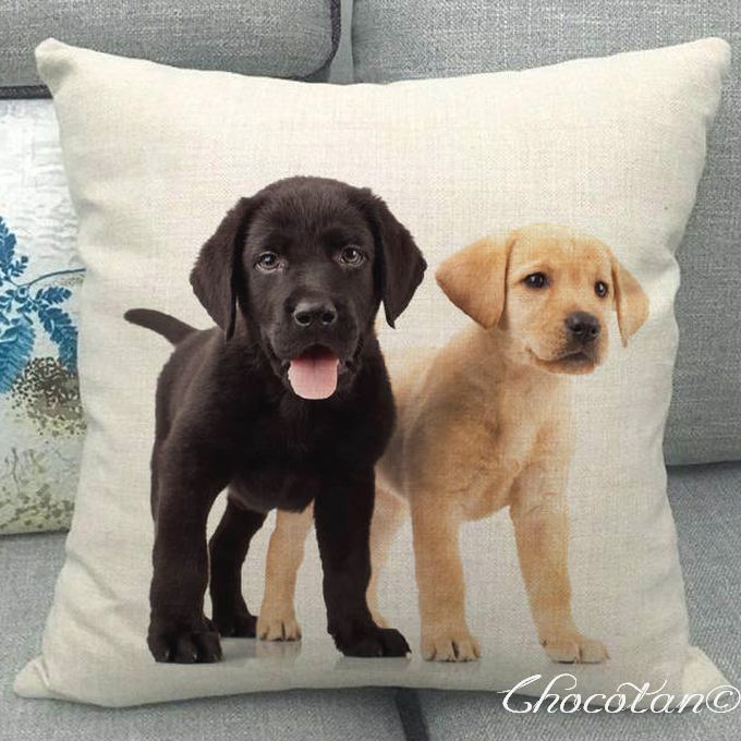 【送料無料】ラブラドール C4 クッションカバー 45x45【新品】拍卖