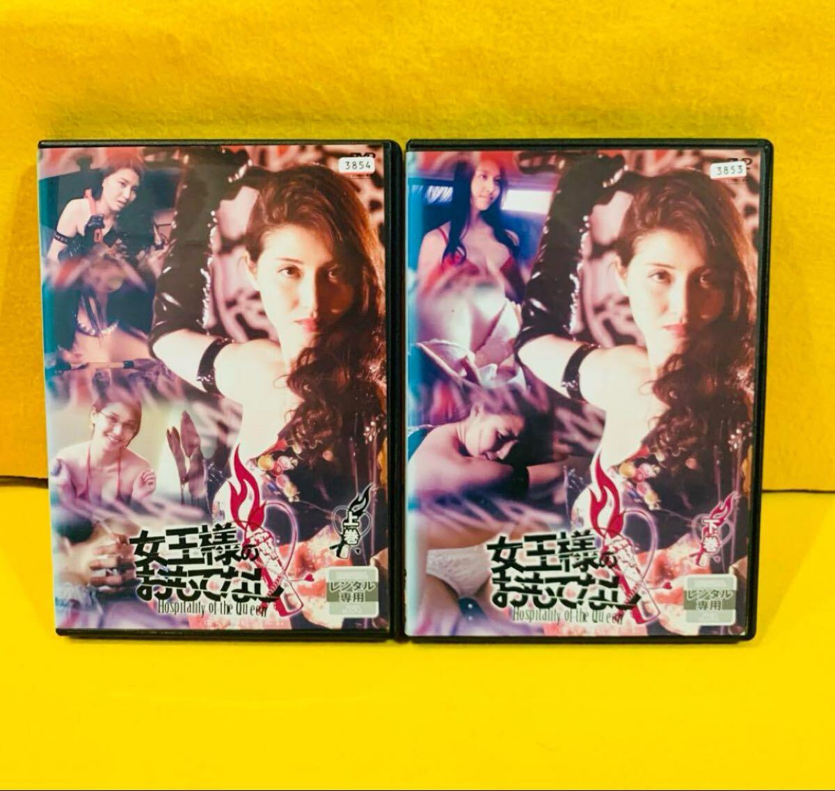 【新品ケースに交換済み】 女王様のおもてなし 全2巻 DVD 全巻セット 橋本マナミ拍卖
