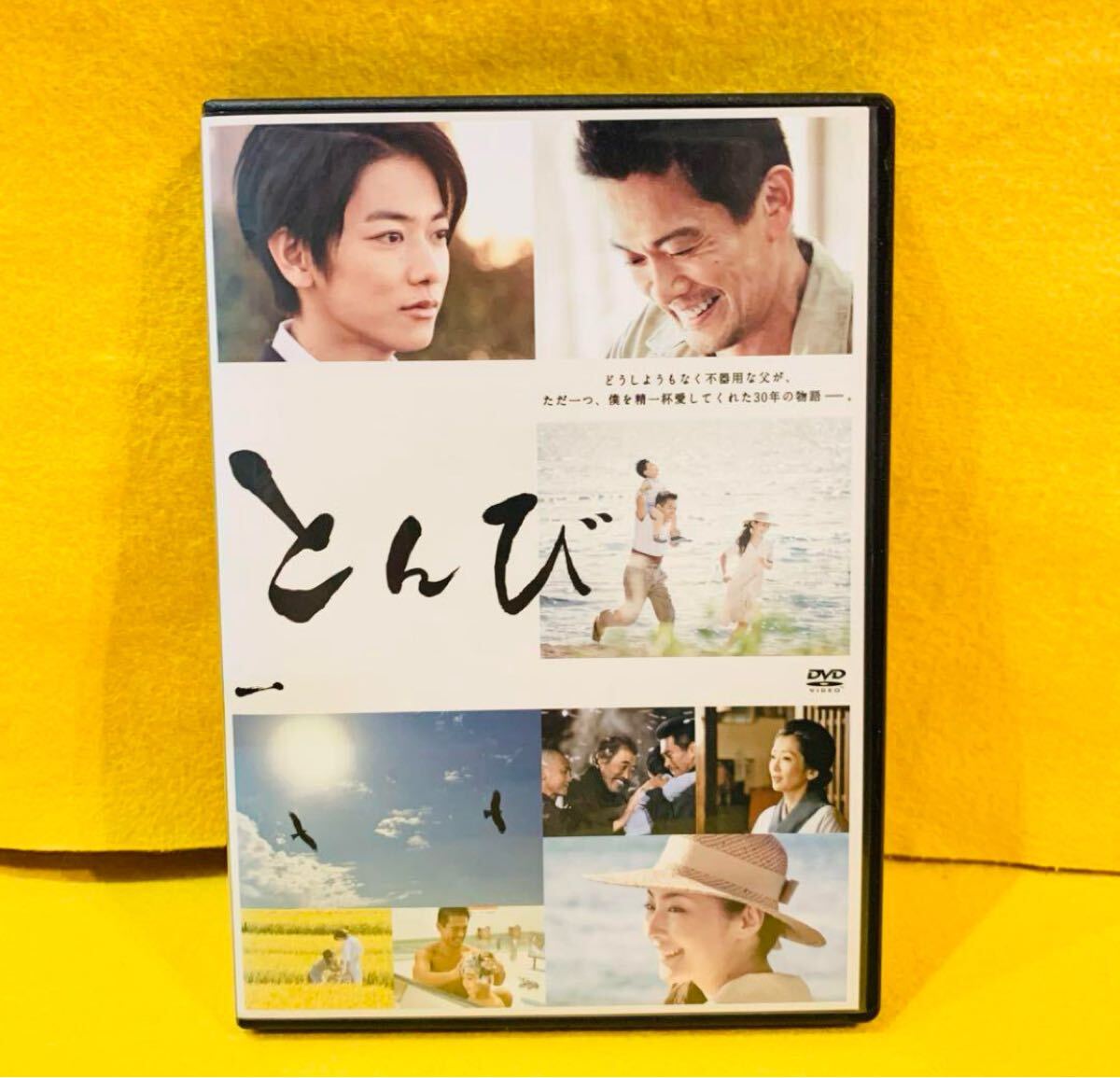 【新品ケースに交換済み】とんび DVD 全6巻 全巻セット 佐藤健 内野聖陽拍卖
