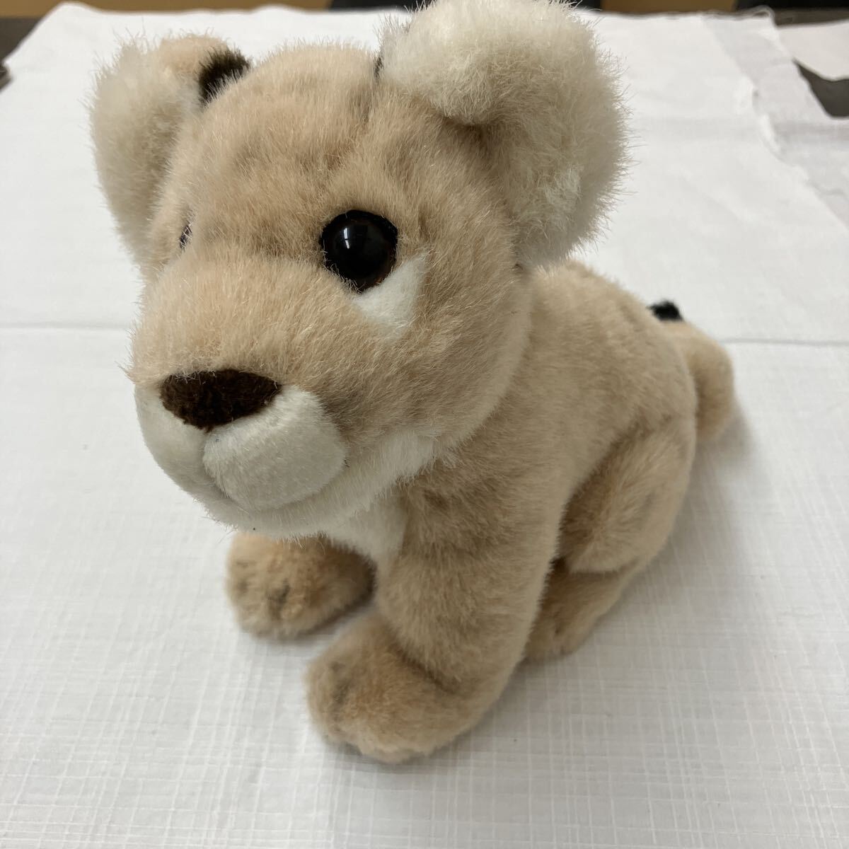 【そ34】アドベンチャーワールドぬいぐるみベビーライオン拍卖