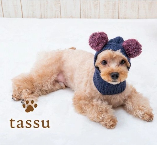 新品★ペット服★ tassu タッス★Re-Knit★ボンボン付きニット帽★帽子★ネイビー★Mサイズ★犬★犬服拍卖