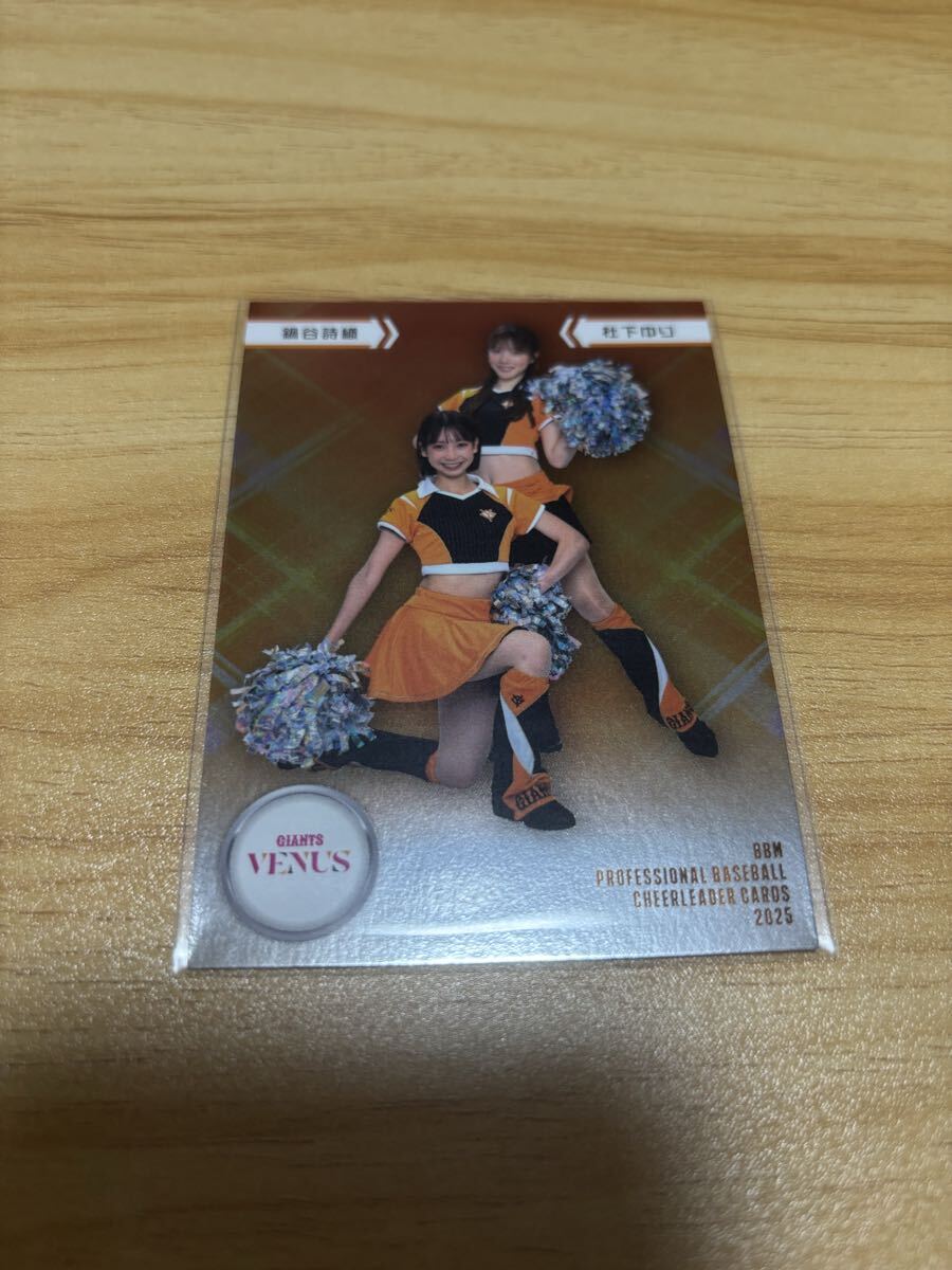 BBM 2025 プロ野球チアリーダーカード DANCING HEROINE VENUS 鍋谷詩織 杜下ゆり インサートカード 読売ジャイアンツ 巨人拍卖