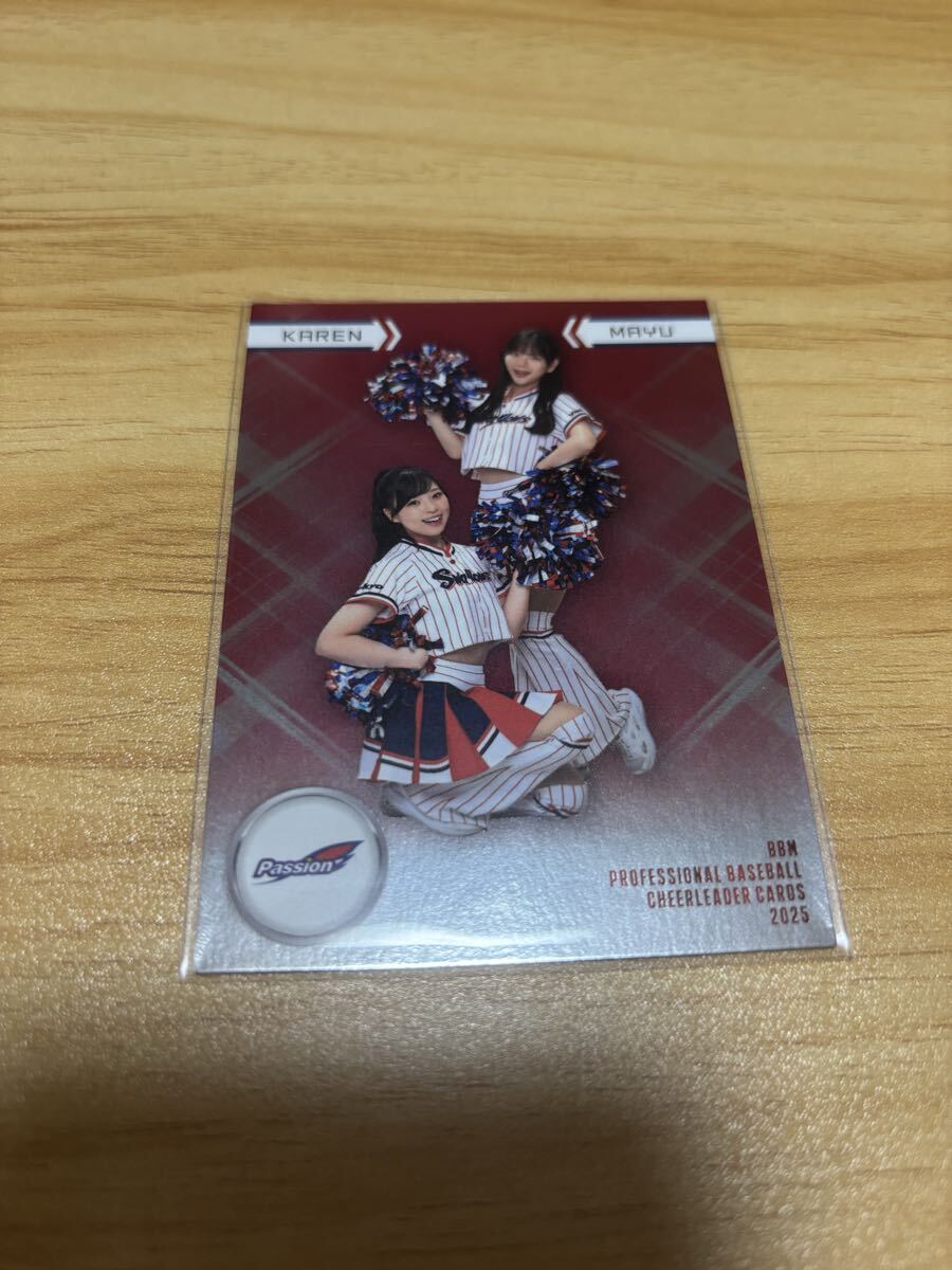 BBM 2025 プロ野球チアリーダーカード DANCING HEROINE Passion KAREN MAYU インサートカード 東京ヤクルトスワローズ パッション拍卖
