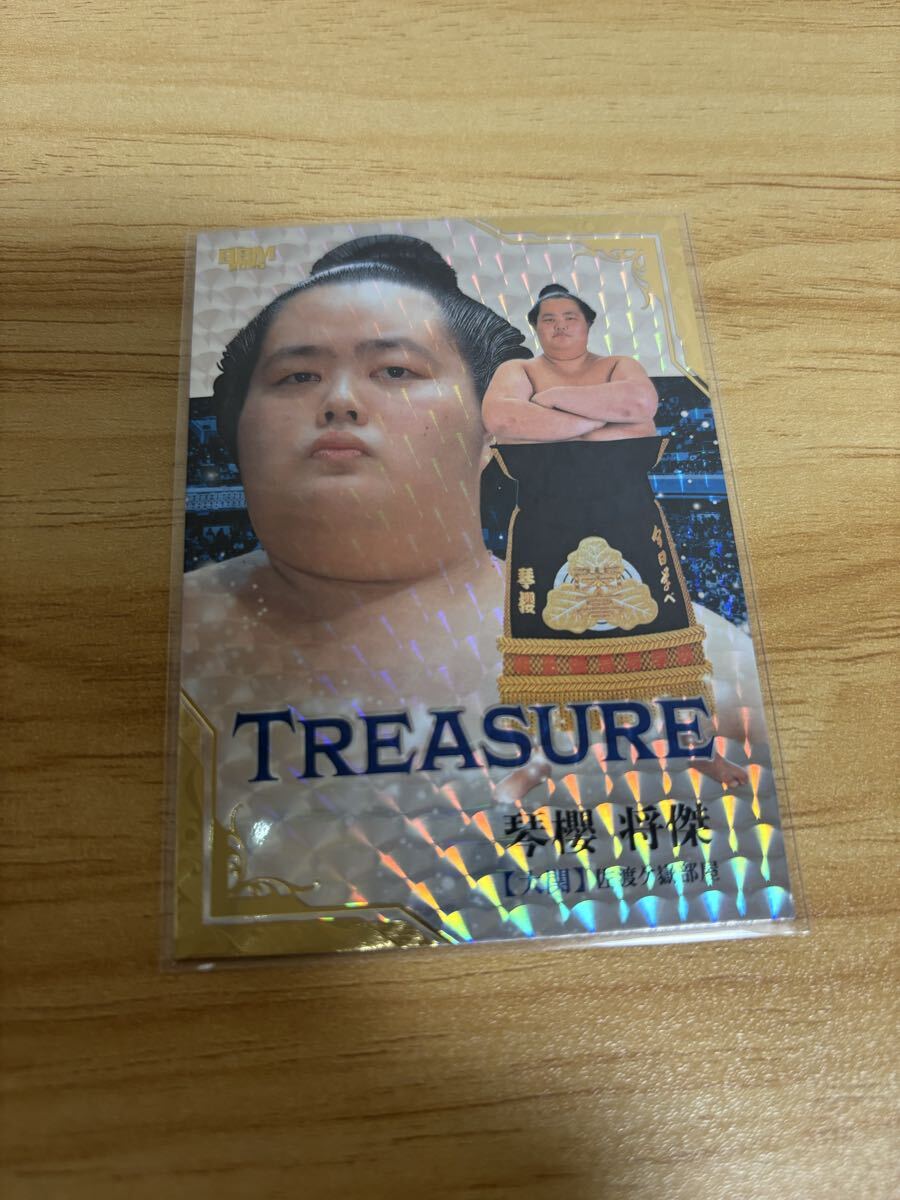 BBM 2025 大相撲カード 和 なごみ 琴櫻将傑 TREASURE 25枚限定 トレジャー拍卖