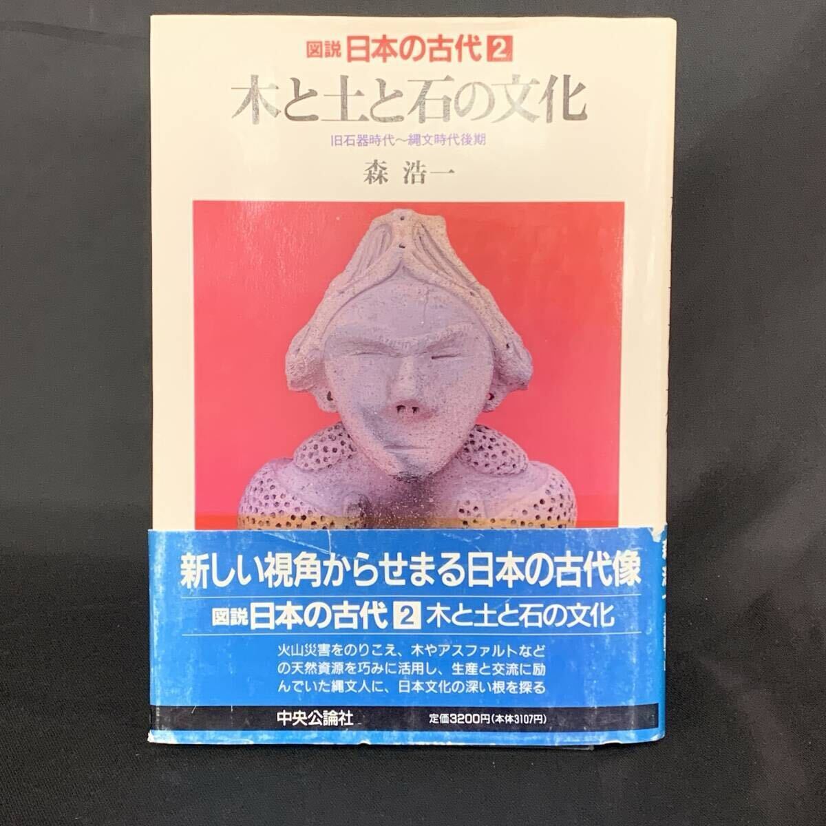 図説 日本の古代 第2巻 木と土と石の文化 旧石器時代~縄文時代後期 森浩一 1989年9月20日初版 平成元年 中央公論社 帯付き BK1288拍卖
