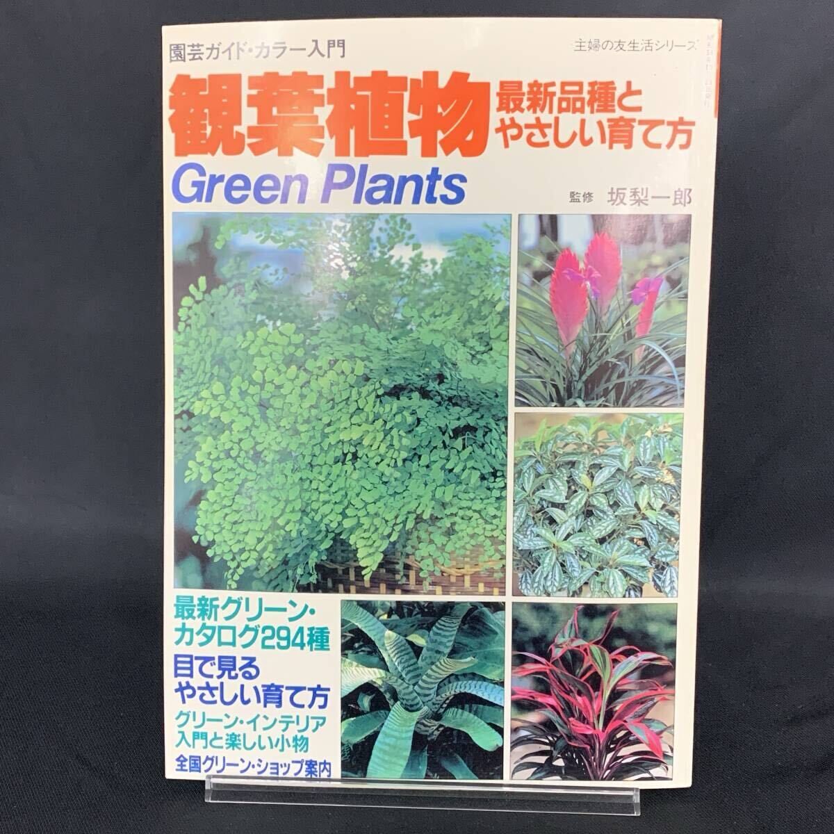 観葉植物 最新品種とやさしい育て方 園芸ガイド・カラー入門 主婦の友生活シリーズ 主婦の友社 昭和58年10月25日発行 1983年 MZ569拍卖