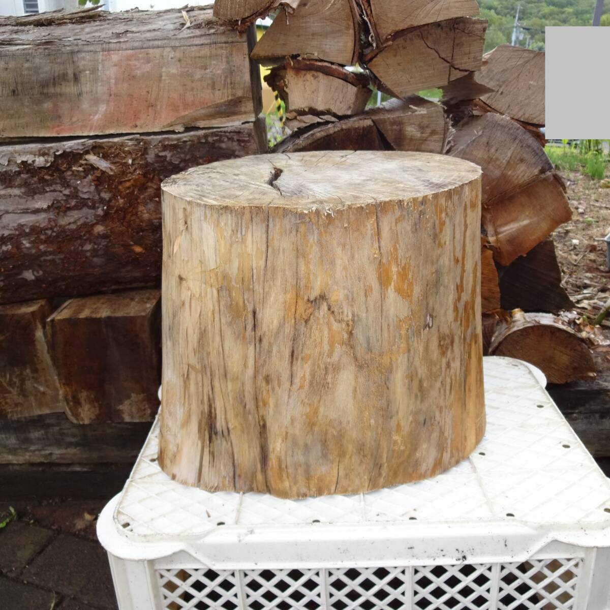 楢材丸太作業台 丸太作業台 ナラ材 高さ29.5cm 薪割り台 天然木 北海道産ナラ材拍卖
