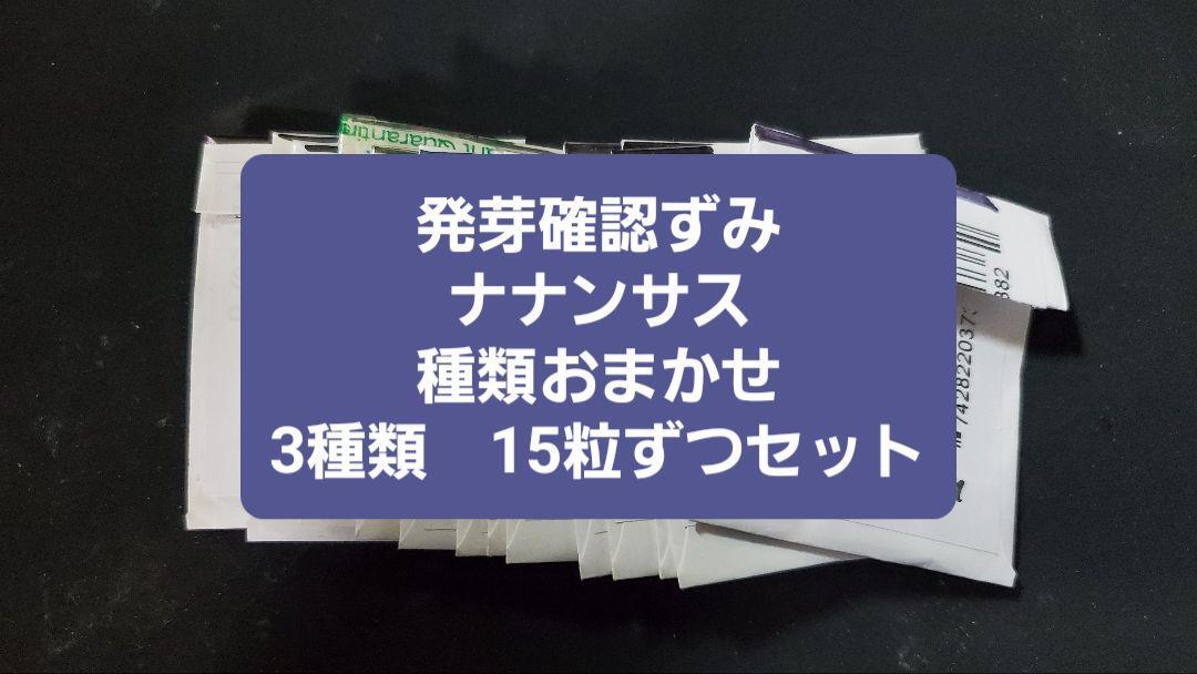 ナナンサス おまかせ種子3種類 15粒ずつセット拍卖