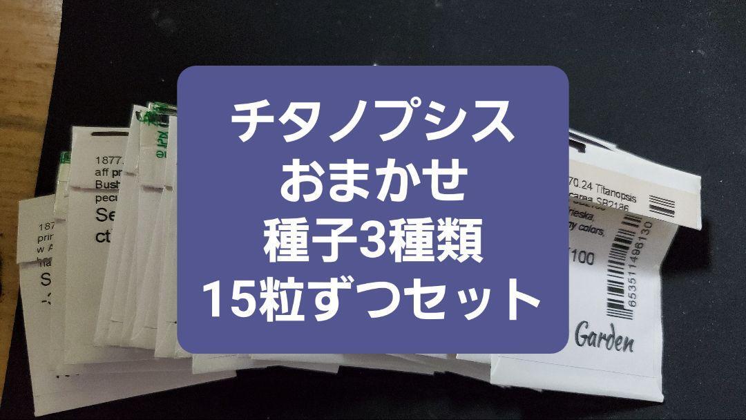 チタノプシス おまかせ種子3種類 15粒ずつセット拍卖