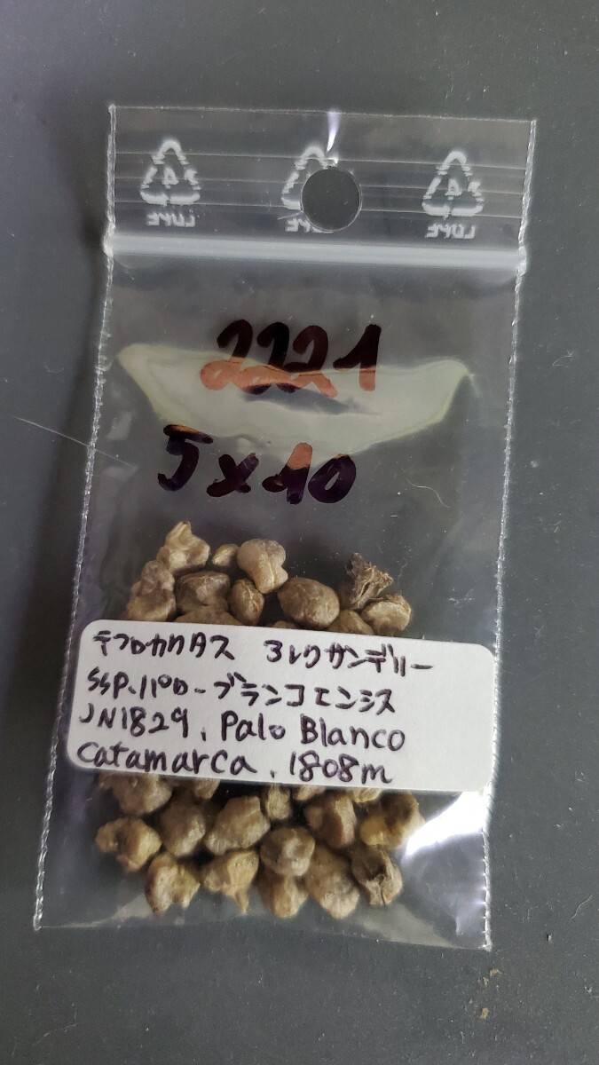 テフロカクタス アレクサンデリー ssp.パロ-ブランコエンシス JN1829 種子5粒拍卖