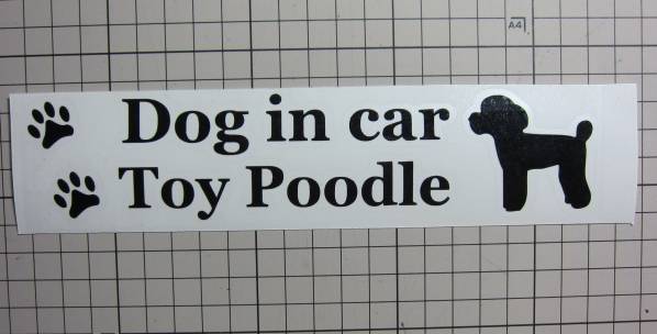 DOG IN CAR(犬が乗ってます)ステッカー トイプードル 横    02拍卖