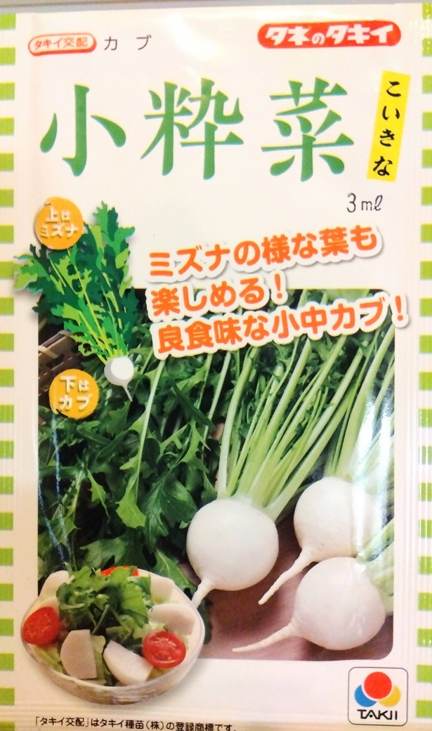 50粒 カブ 小粋菜 こいきな ミズナのような葉も楽しめるカブ タキイ交配拍卖