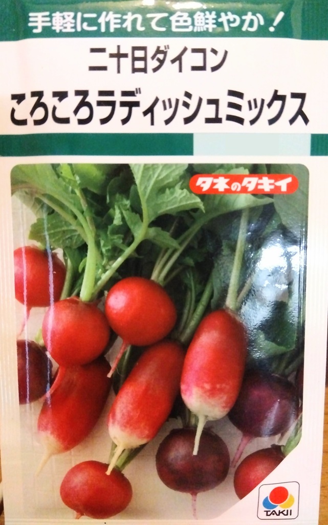 60粒 二十日ダイコン ころころラディッシュミックス タキイ お手軽 初心者拍卖