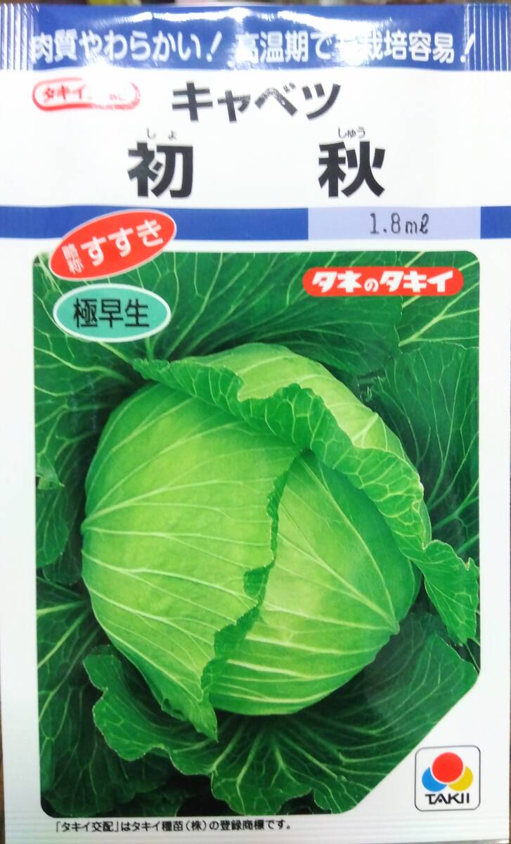 キャベツ 初秋 種子18粒 お試し量 暑さに強い タキイ交配拍卖
