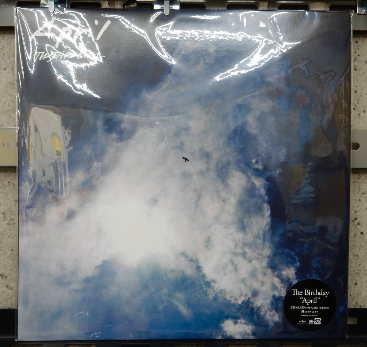 12インチ) THE BIRTHDAY APRIL 拍卖