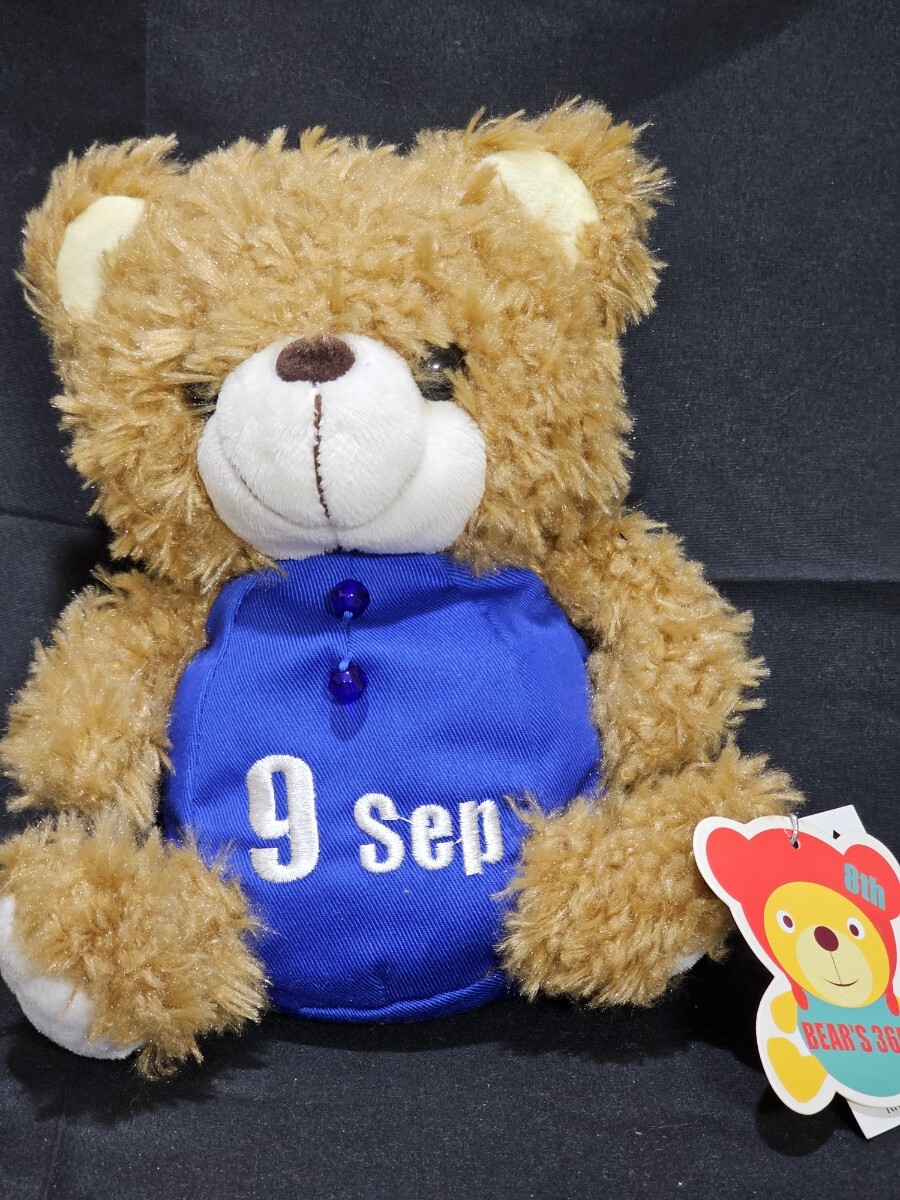 テイクオフ ぬいぐるみ BEAR'S365 9月 ブラウン拍卖