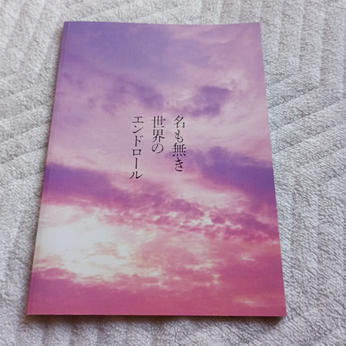 映画パンフレット 名も無き世界のエンドロール 岩田剛典 新田真剣佑 山田杏奈拍卖