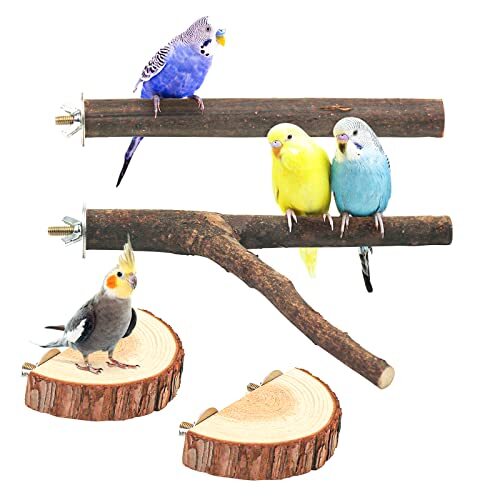 4点セット入り インコ 止まり木 鳥用品 パーチ 爪を研ぎ 爪を磨く 鳥 爪切り 鳥スタンド 枝 インコ おもちゃ 鳥おもちゃ 噛むおもちゃ ケ拍卖