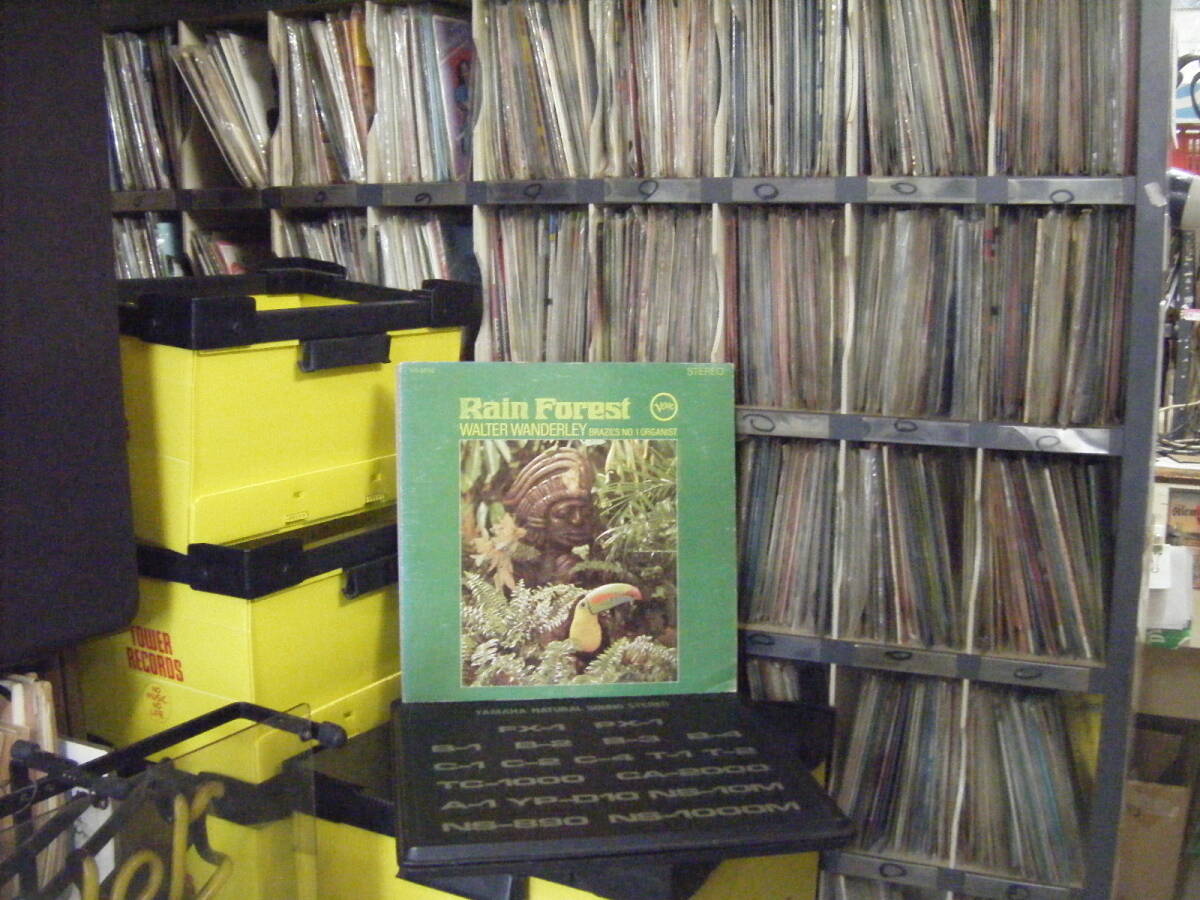 H-279 WALTER WANDERLEY / RAIN FOREST V6/8658 (US) 拍卖