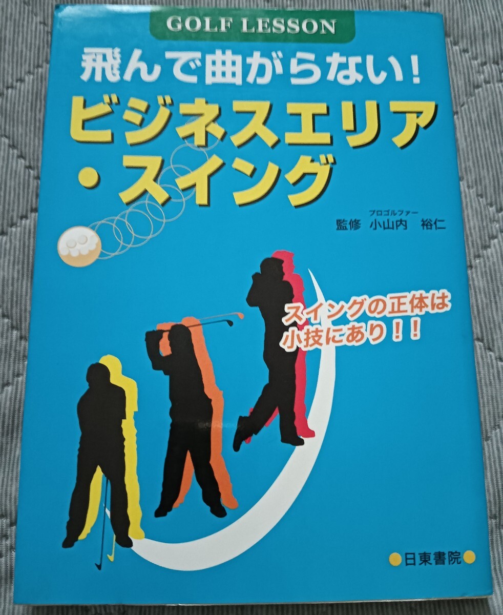 送料無料 ゴルフレッスン ビジネスエリア・スイング―飛んで曲がらない!!拍卖