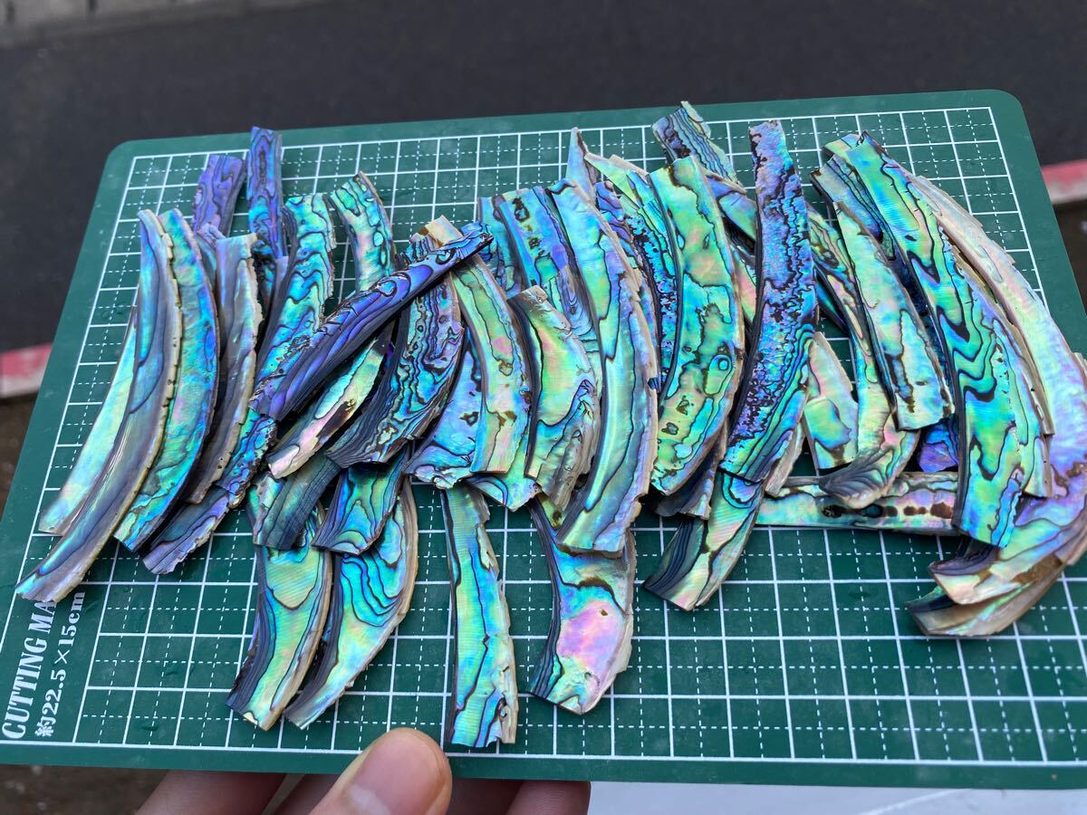 アワビ貝 ニュージーランド産 15枚セット 螺鈿細工 ハンドメイド ハンドクラフト ルアー付き ネイル用シェルパーツ 材料拍卖