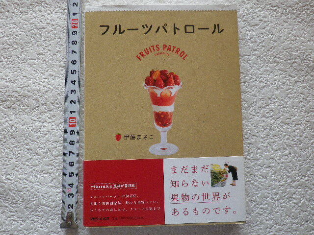 フルーツパトロール 伊藤まさ子 初版 単行本●送料185円●同梱大歓迎拍卖