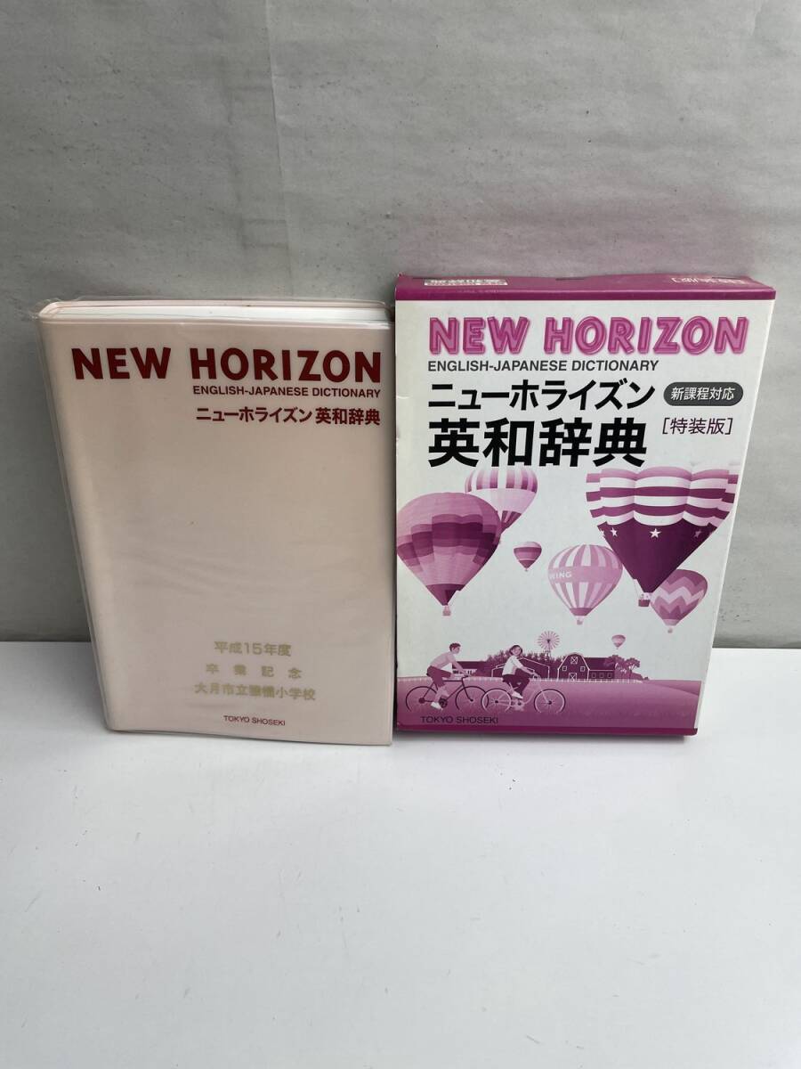 ニューホライズン 英和辞典 特装版 浅野博その他 平成16年 2004年発行【K175143】拍卖