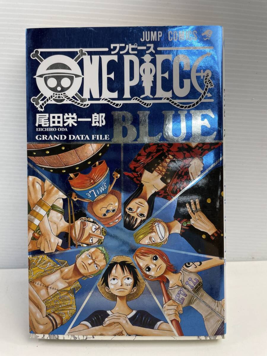 ワンピース ブルー ONE PIECE BLUE GRAND DATA FILE 平成19年 2007年発行【K177366】拍卖