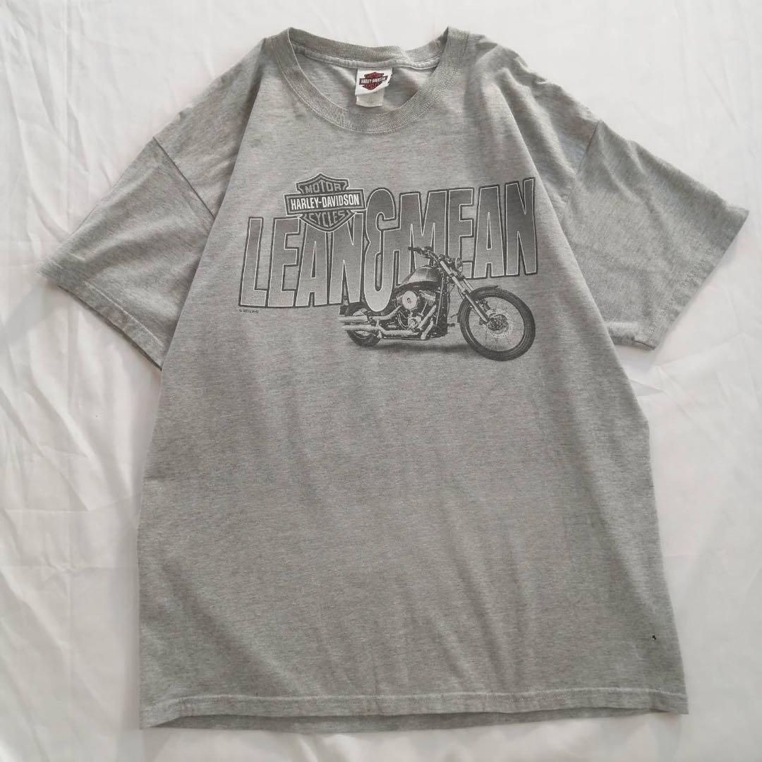 ハーレーダビッドソン Harley-Davidson ヘインズ Hanes BEEFY-T 半袖 プリントTシャツ メンズ L グレー 古着 ヴィンテージ / S1797拍卖