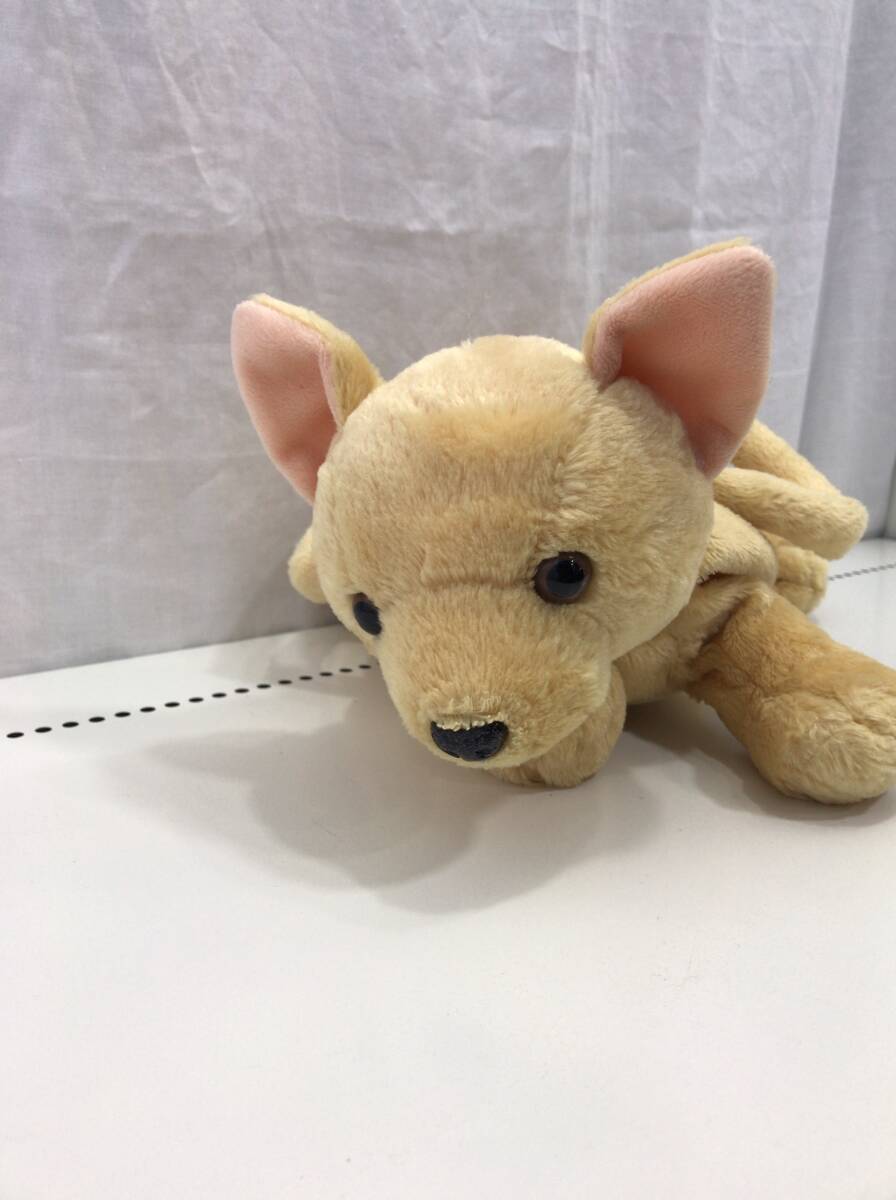 bestever ぬいぐるみ 犬 イヌ ベストエバー D14拍卖