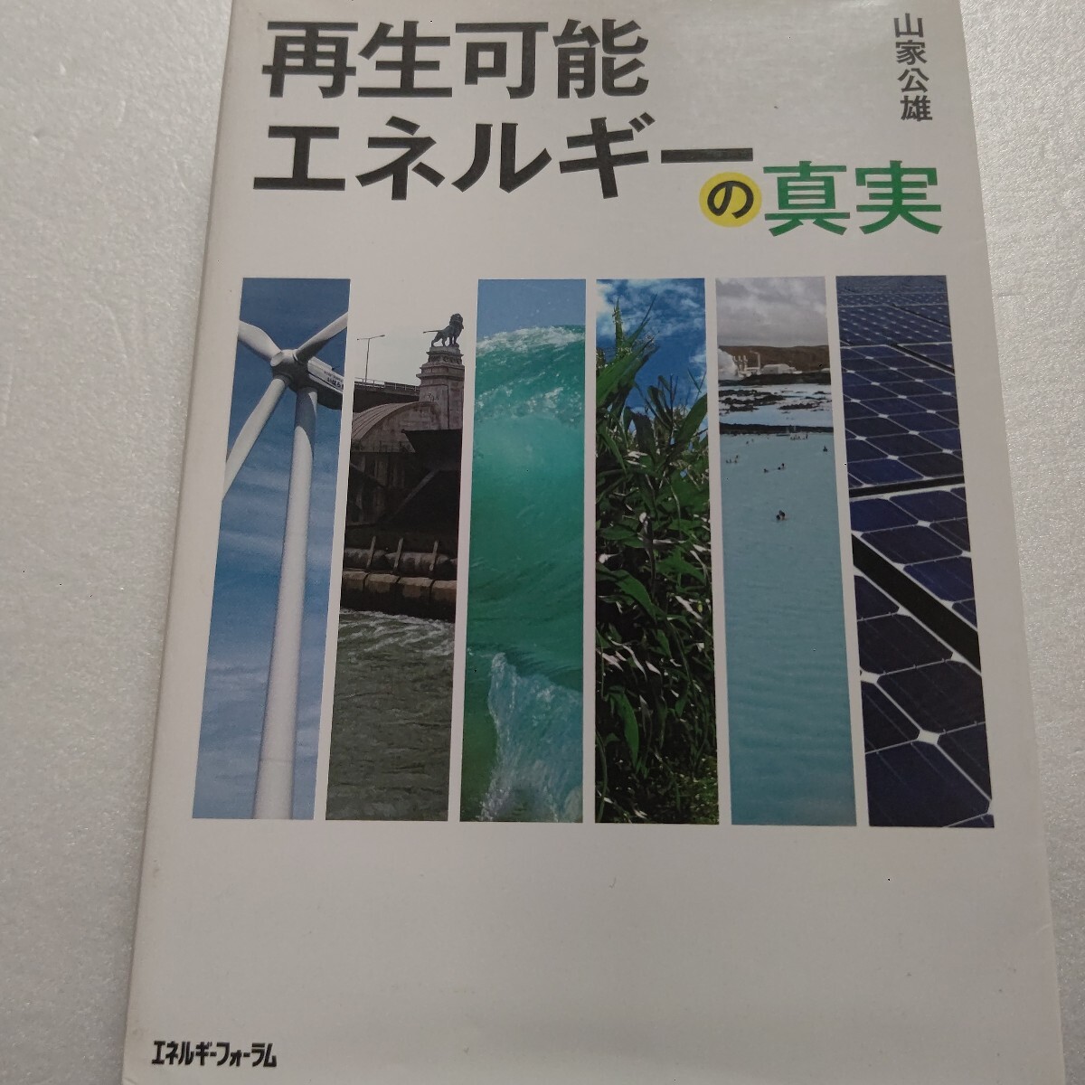 ● 再生可能エネルギーの真実 本書は海洋エネルギー 太陽光発電 地熱発電とバイナリー 中小水力 バイオマスとほとんどすべての技術を網羅!拍卖
