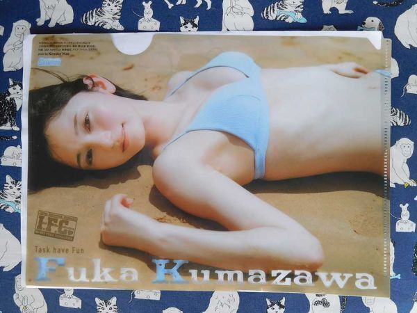 熊澤風花 くまざわふうか 付録 クリアファイル B5 未使用 1拍卖
