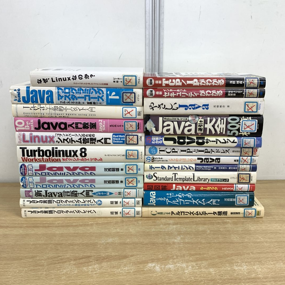 ■01)【1点限り!】【除籍本】Javaなどプログラミングの本 まとめ売り約20冊大量セット/システム管理/C言語/TCP/IP/Linux/構造/データ/B拍卖