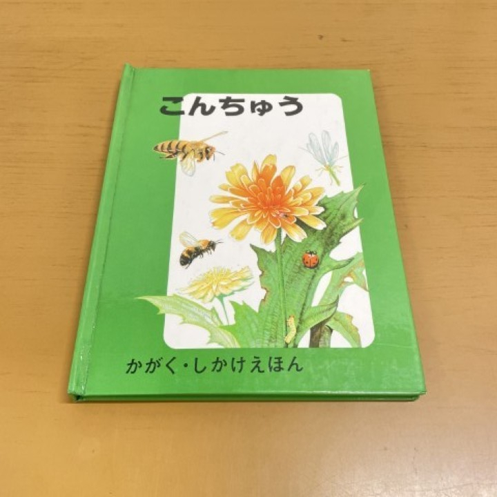 ●01)【1点限り!】こんちゅう (かがく・しかけえほん)/ピーター・セイモア/大日本絵画/1990年/仕掛け絵本/A拍卖