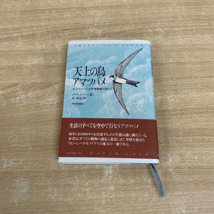 ●01)【1点限り!】天上の鳥アマツバメ/オックスフォード大学博物館の塔にて/デイヴィッド・ラック/丸武志/平河出版社/1997年/A拍卖