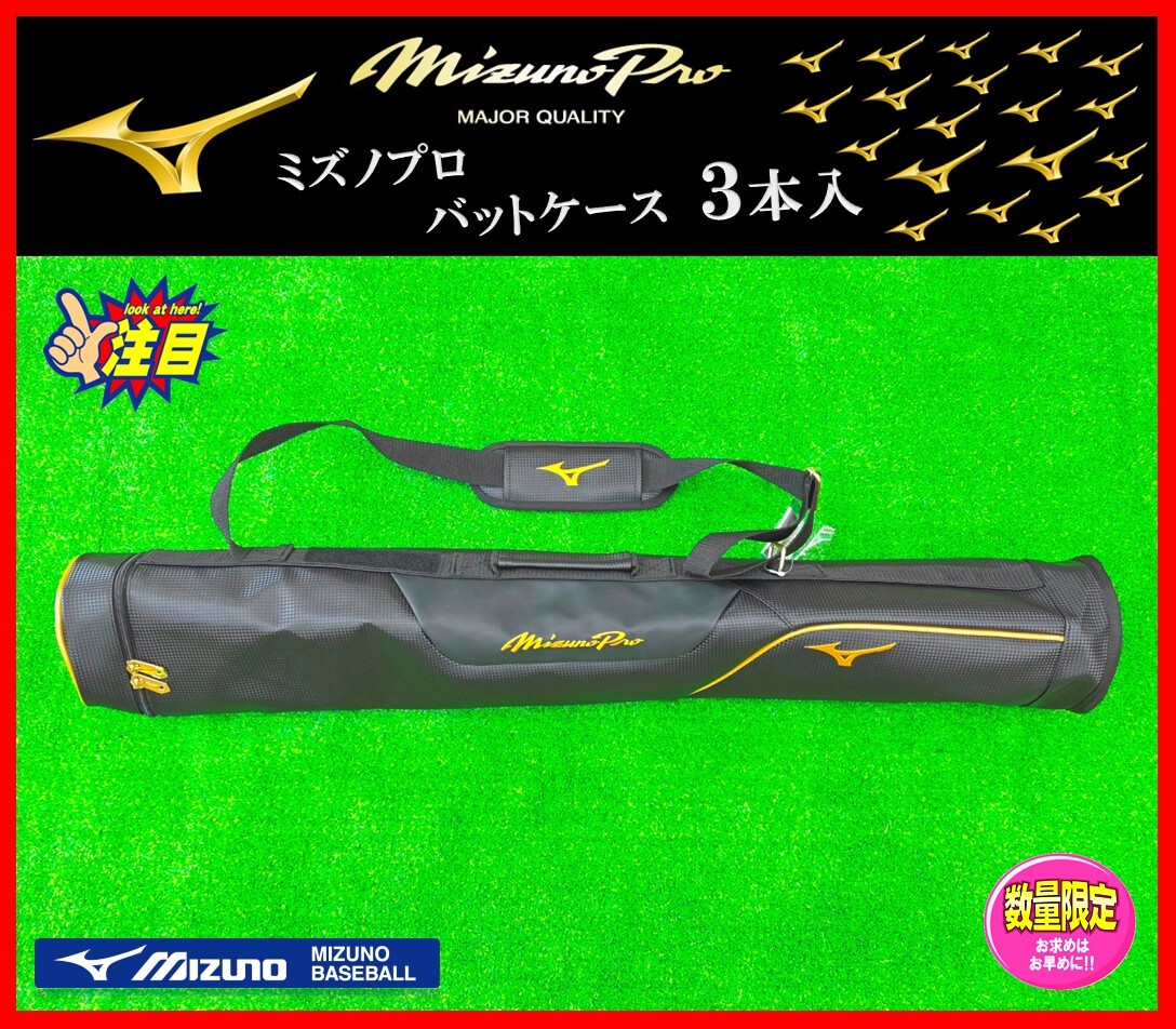 ◆3本入・個人名刺繍無料◆ ミズノ ミズノプロ バット ケース ブラック 1FJTB00009 検)グローブ グラブ スパイク バック ミズノ拍卖
