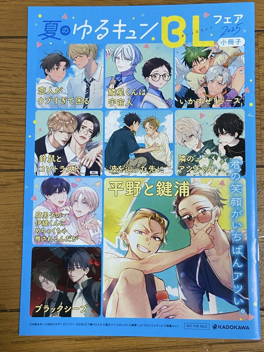 ☆夏のゆるキュンBLフェア 2025小冊子 非売品!拍卖