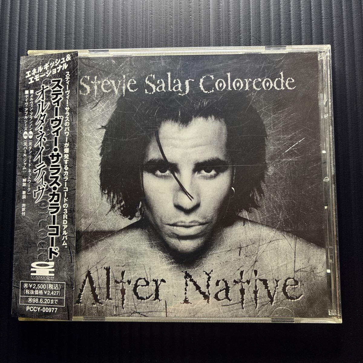 CD STEVIE SALAS COLORCODE / ALTER NATIVE拍卖